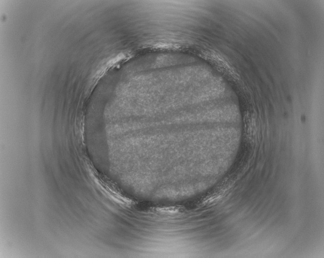 X0000061730692200512302146