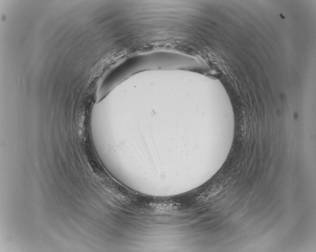 X0000061730693200512302146