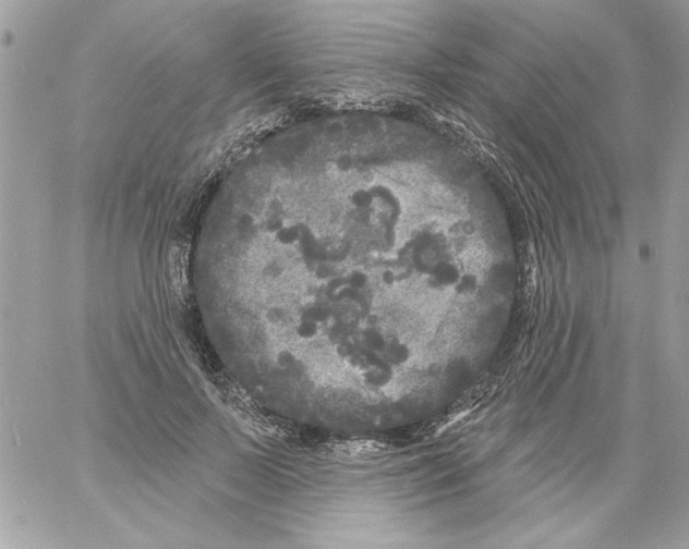 X0000061730695200512302146