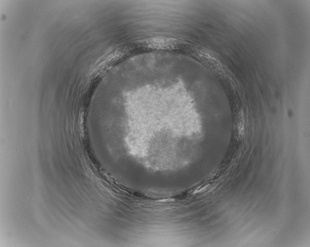 X0000061730696200512302146