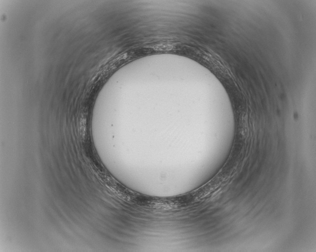 X0000061730697200512302146