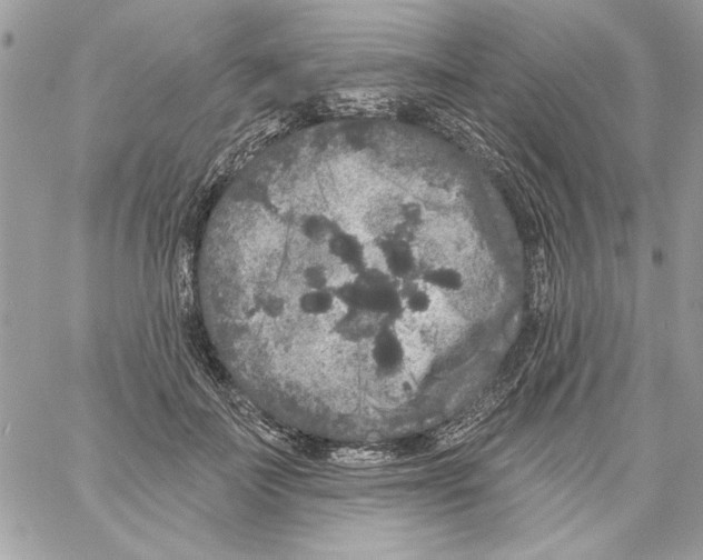 X0000061730699200512302146