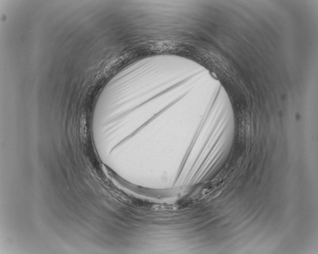 X0000061730700200512302146