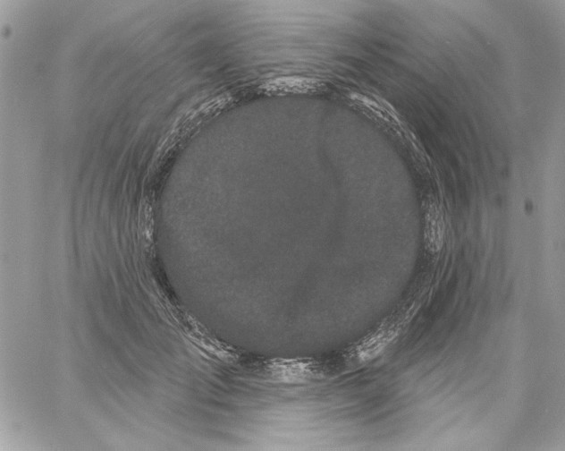 X0000061730701200512302146