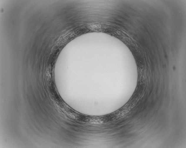 X0000061730702200512302146