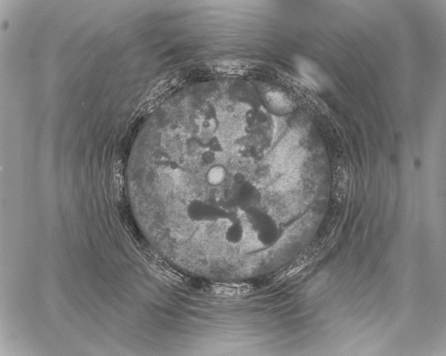 X0000061730707200512302146