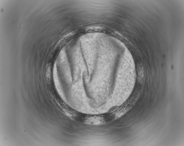 X0000061730708200512302146