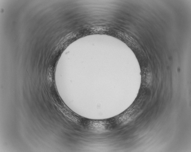 X0000061730710200512302146