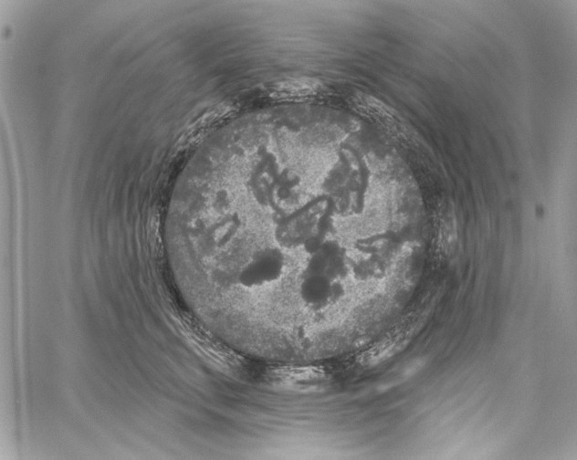 X0000061730711200512302146