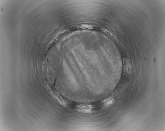 X0000061730712200512302146