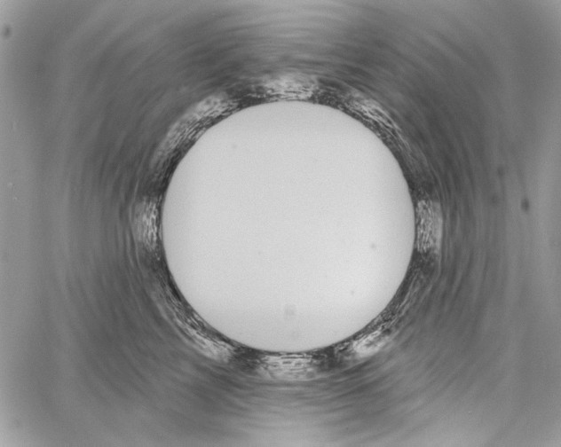 X0000061730713200512302146