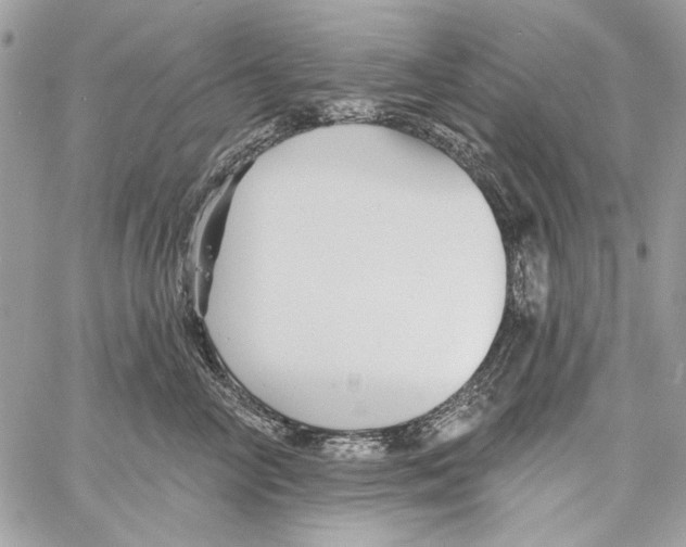 X0000061730714200512302146