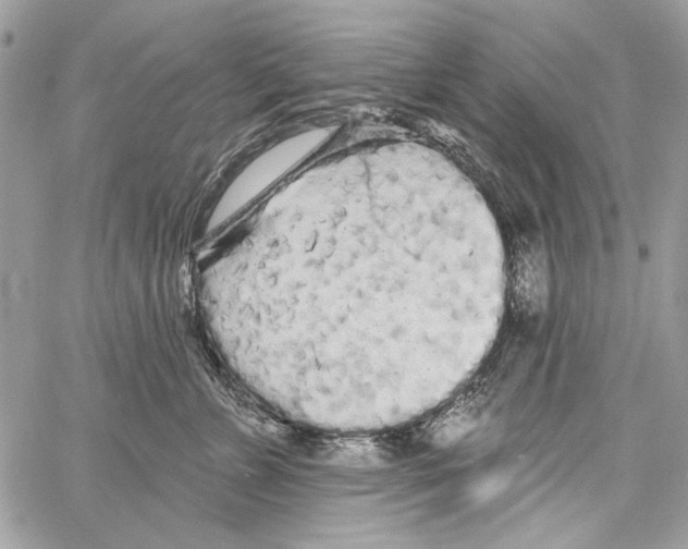 X0000061730715200512302146