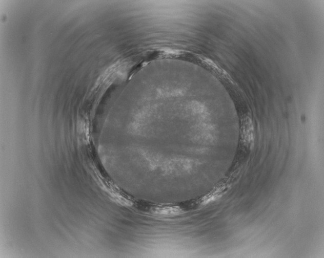 X0000061730716200512302146