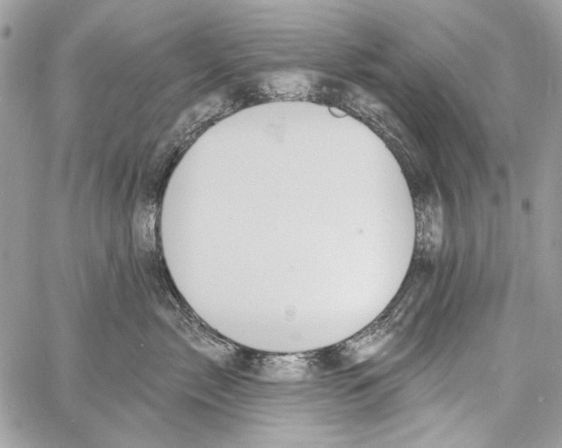 X0000061730717200512302146