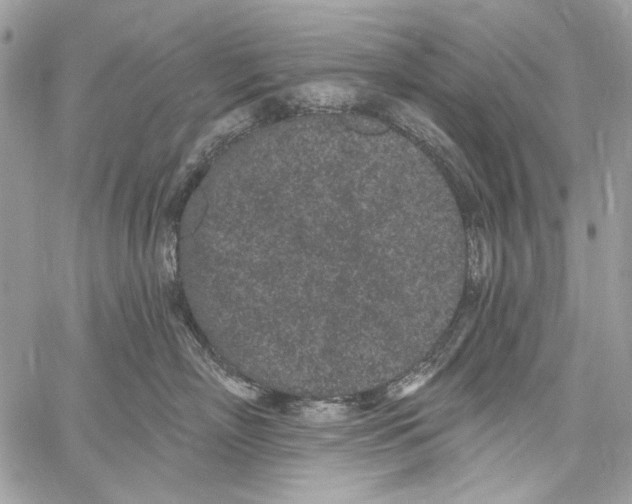 X0000061730718200512302146