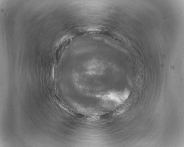 X0000061730720200512302145