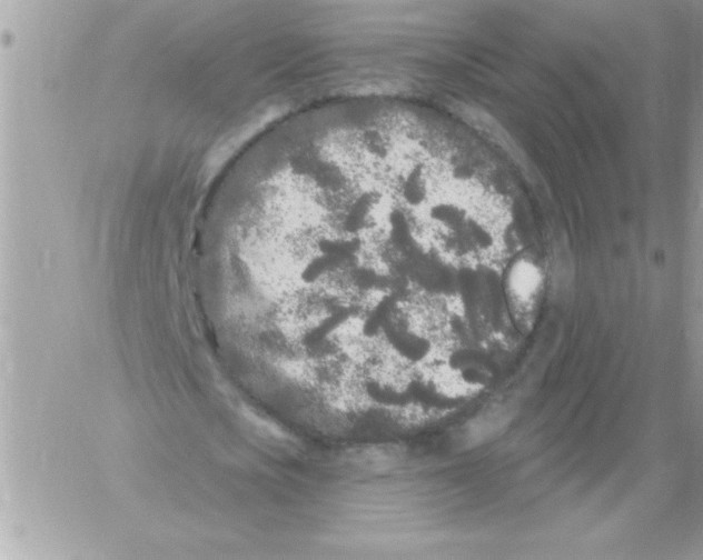 X0000061730721200512302145