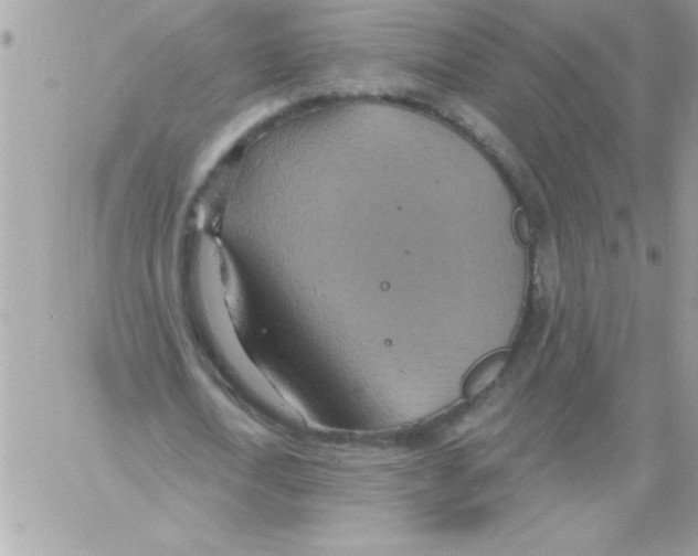 X0000061730722200512302145