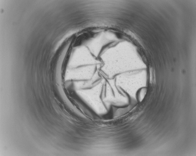 X0000061730723200512302145