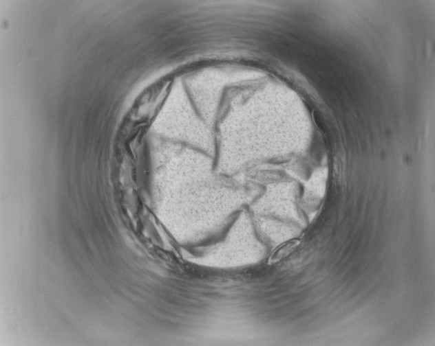 X0000061730724200512302145