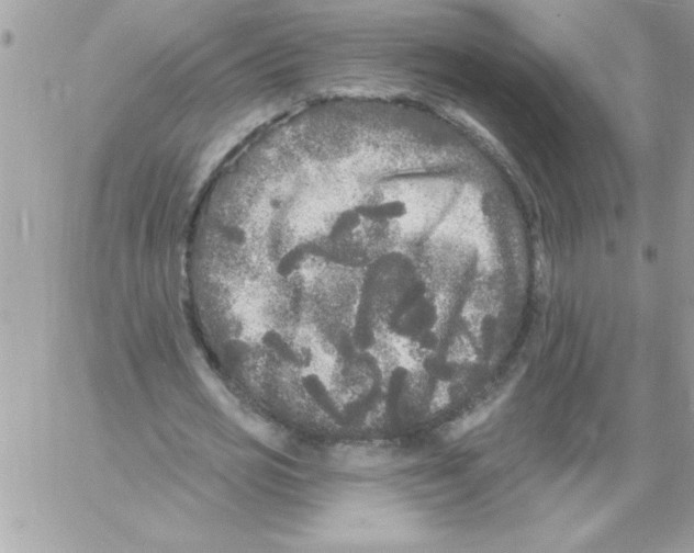 X0000061730725200512302145