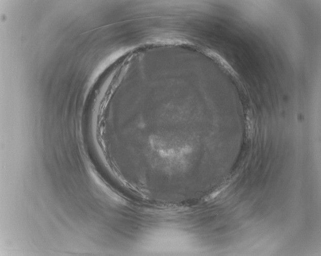 X0000061730726200512302145