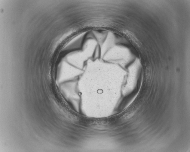 X0000061730727200512302145