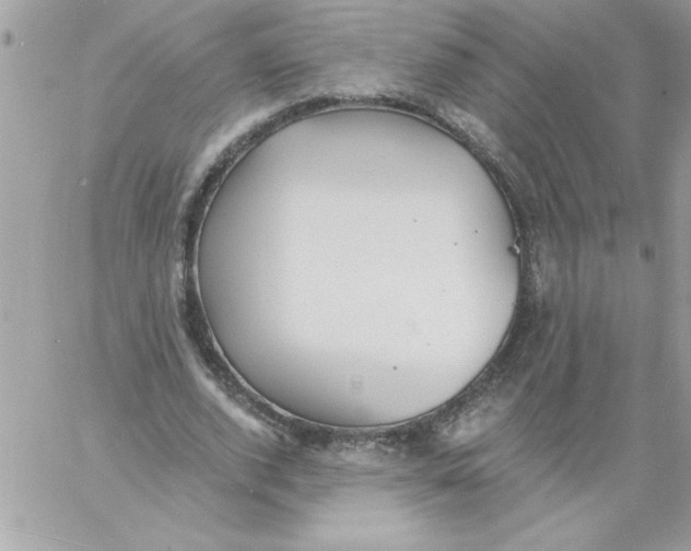 X0000061730728200512302145