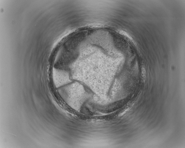 X0000061730730200512302145