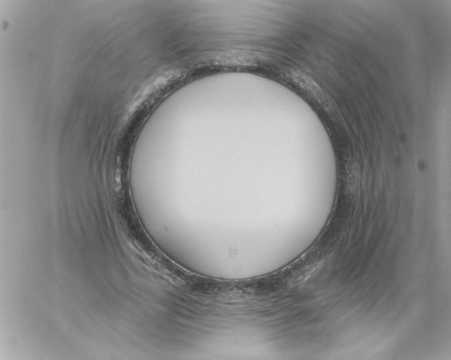 X0000061730731200512302145