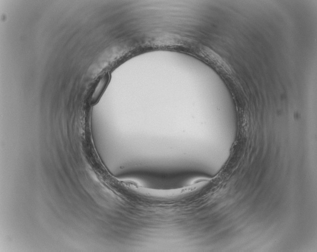 X0000061730732200512302145