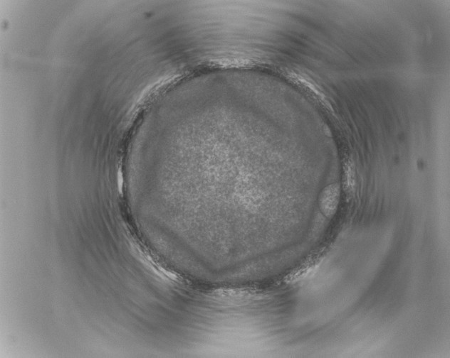 X0000061730733200512302145