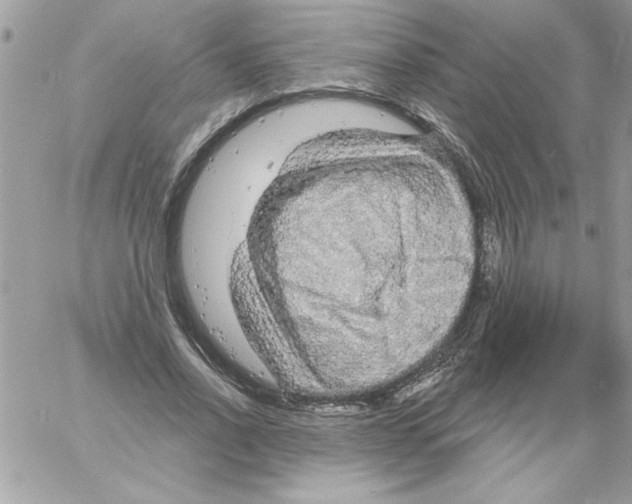 X0000061730734200512302145