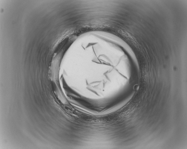 X0000061730735200512302145