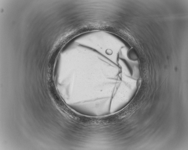 X0000061730736200512302145