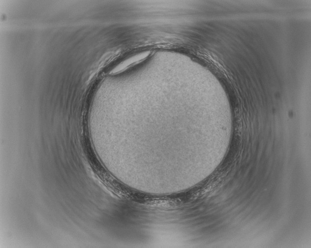 X0000061730738200512302145