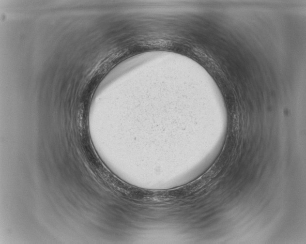 X0000061730739200512302145