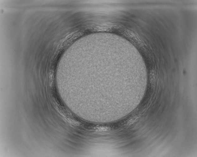 X0000061730741200512302145