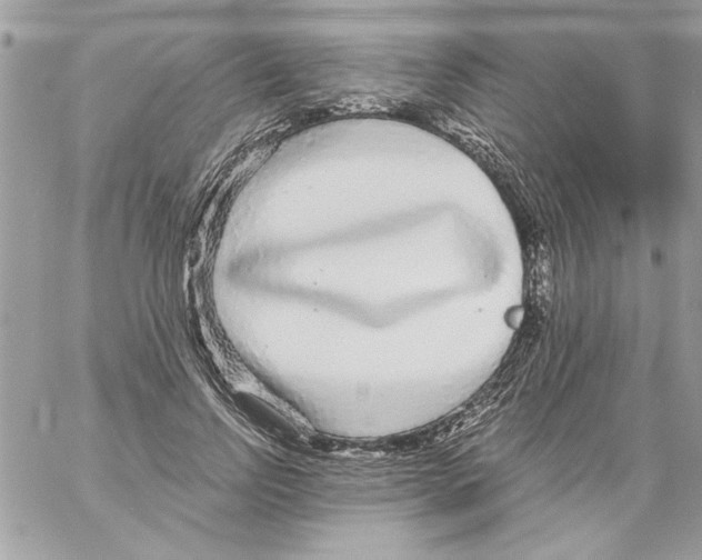 X0000061730742200512302145