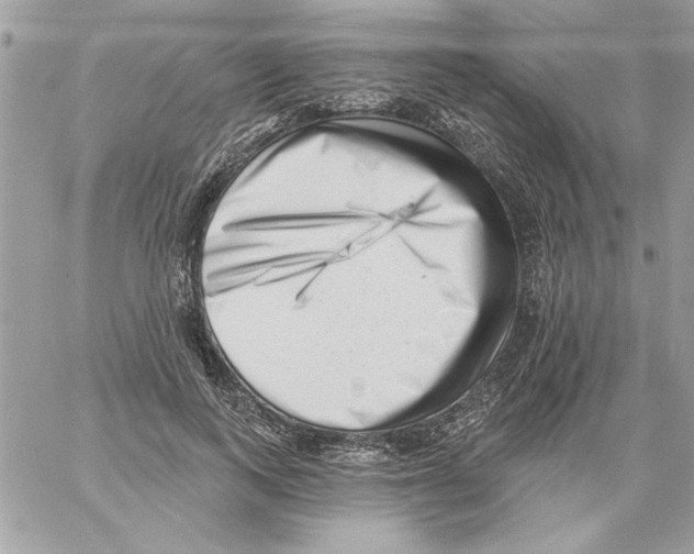 X0000061730743200512302145