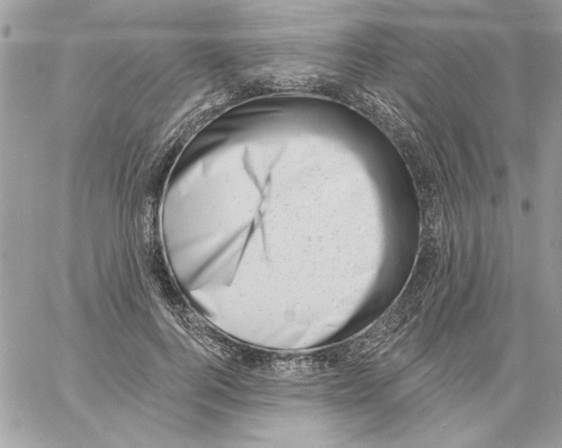 X0000061730744200512302145