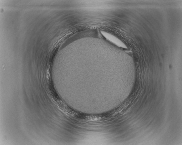 X0000061730746200512302145