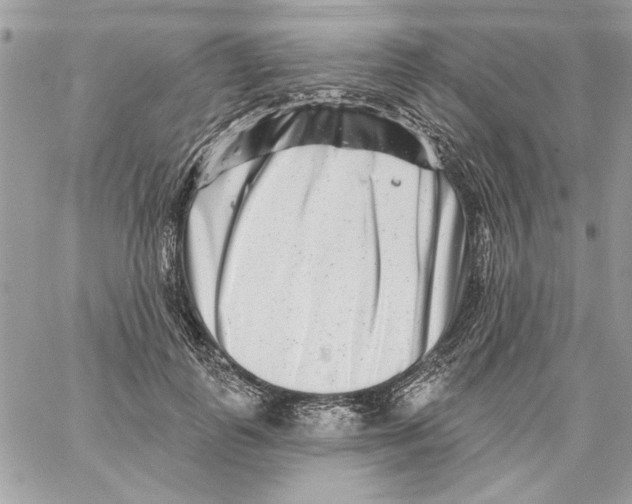 X0000061730747200512302145