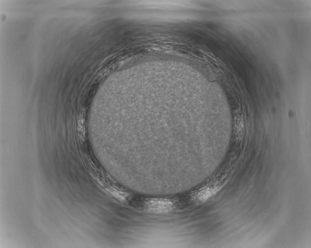 X0000061730749200512302145