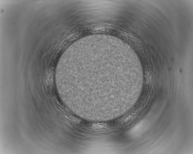 X0000061730753200512302145