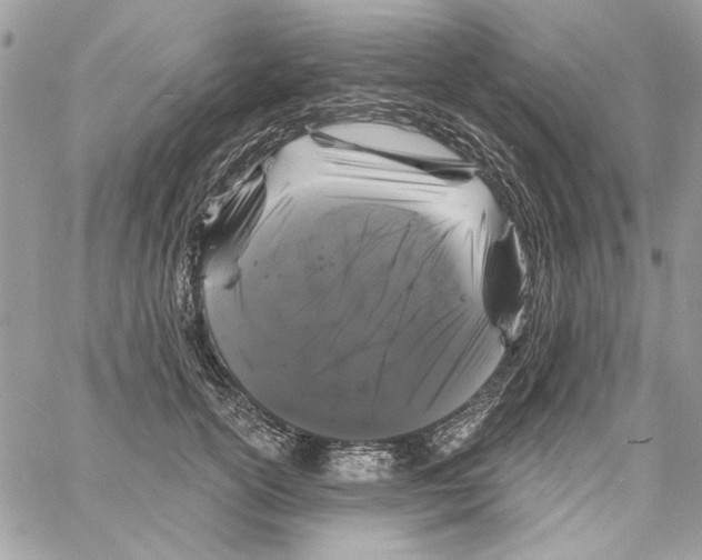 X0000061730754200512302145