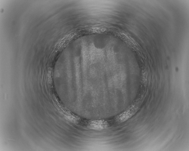 X0000061730757200512302145