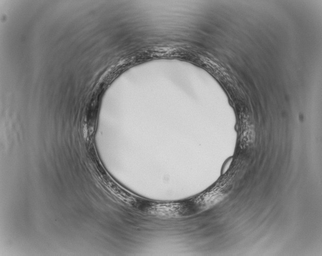 X0000061730758200512302145