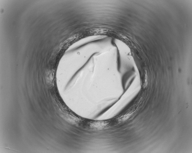 X0000061730759200512302145